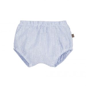 Pololo Kerala 6080